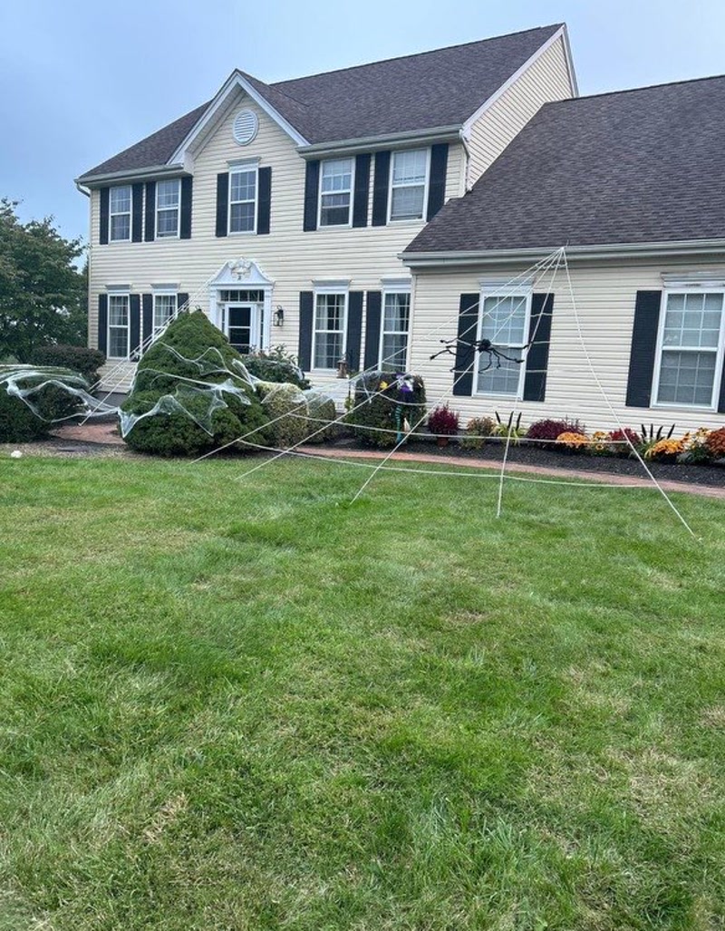 House before siding renovation